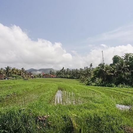 Mejan Home Stay Balian المظهر الخارجي الصورة