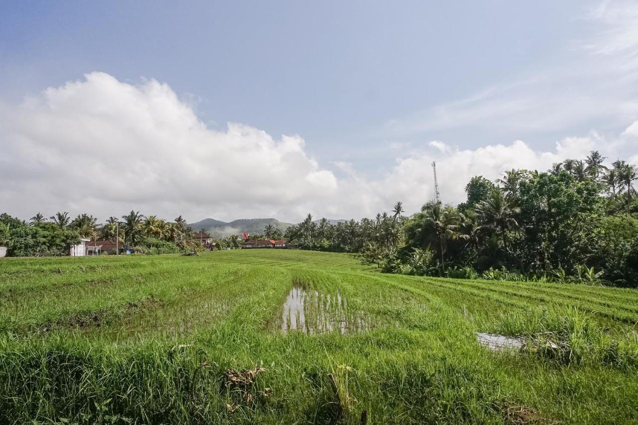 Mejan Home Stay Balian المظهر الخارجي الصورة