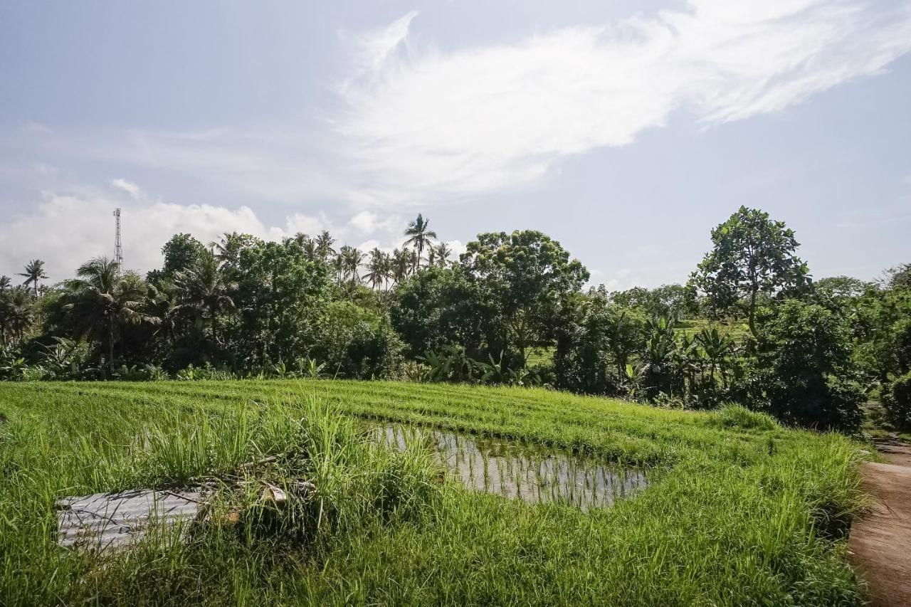 Mejan Home Stay Balian المظهر الخارجي الصورة